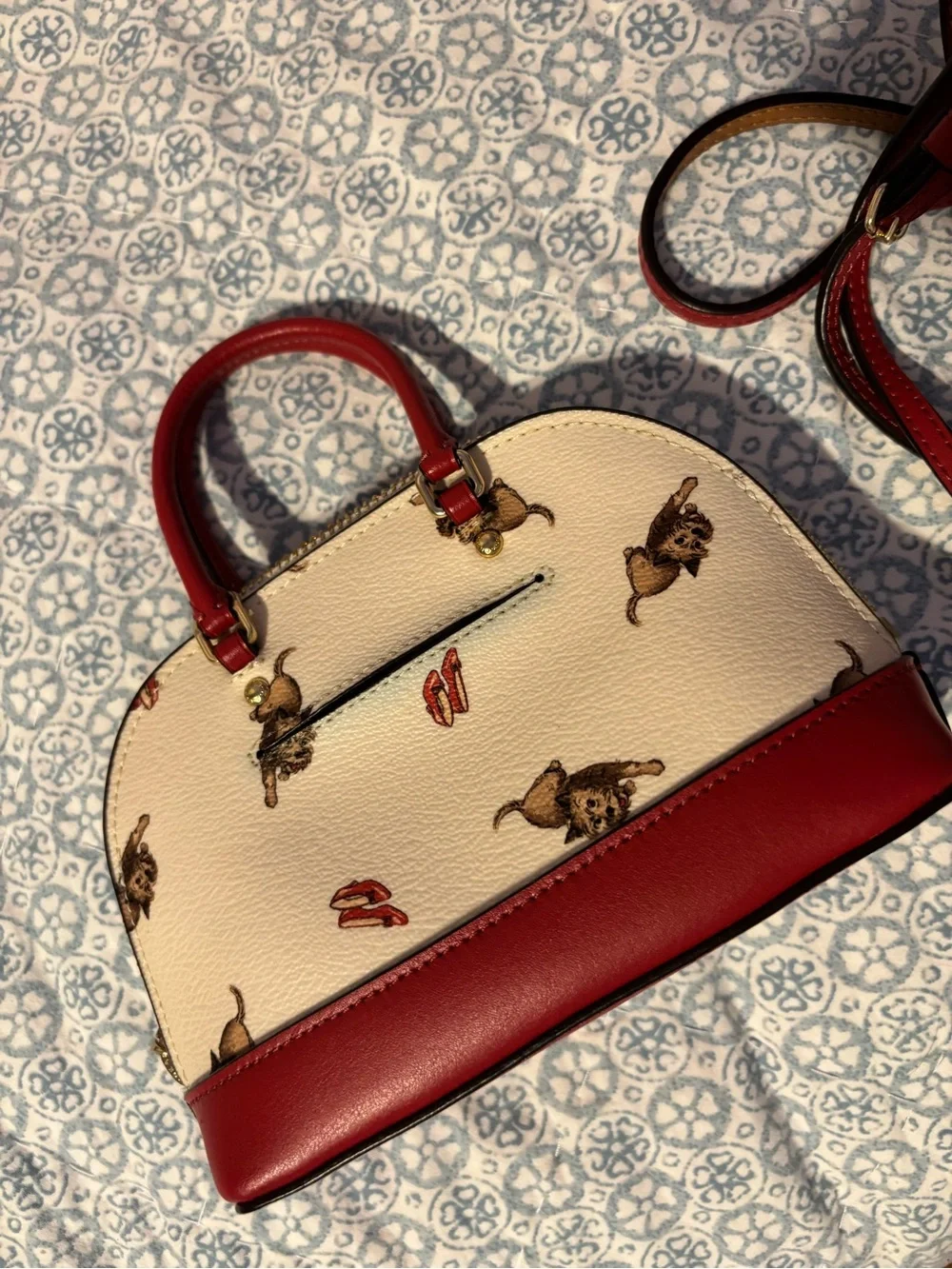 Rare Coach x Wizard of Oz Bag & Wallet Set – Toto & Ruby Slippers